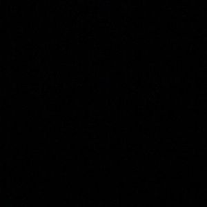 Meet your Posher, Gabby